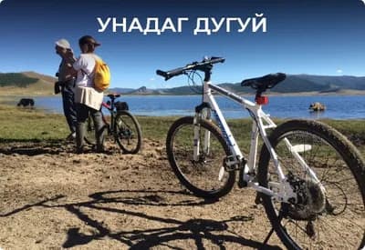 Bicycle activity